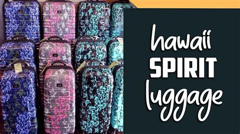 spirit luggage packages.